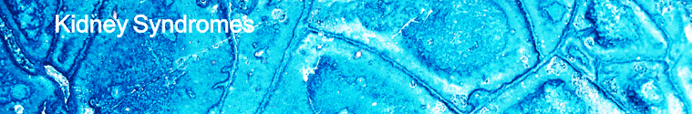 kidney syndromes